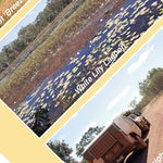 Cape York-9 Preview 3