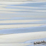 Cape York-27 Preview 2