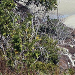 Cape York-27 Preview 3