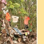 Cape York-17 Preview 3