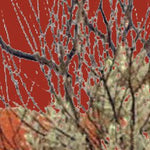 Canning Stock Route-2 Preview 3