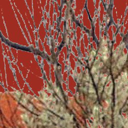 Canning Stock Route-2 Preview 3