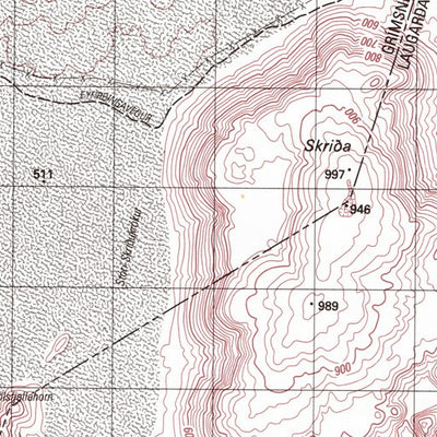 Skjaldbreiður (2001-521) Preview 2