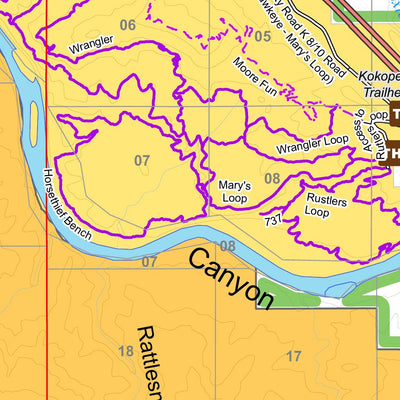 BLM CO GJFO Travel Management Map 9 Black Ridge Preview 3