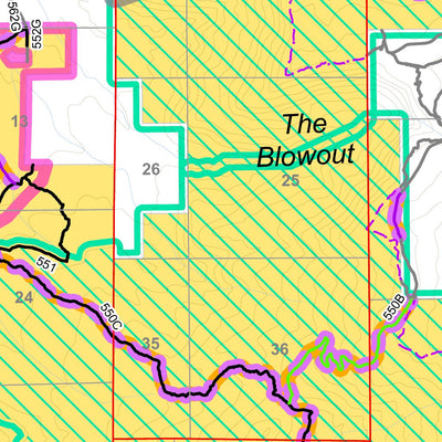 BLM CO GJFO Travel Management Map 11 Palisade Preview 2