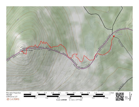 Skookum Butte trail Preview 1