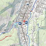 Lake City, Colorado 7.5 Minute Topographic Map Preview 3