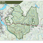 Coopers Rock State Forest Preview 1