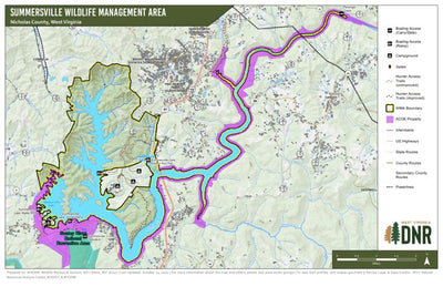 Summersville Lake Wildlife Management Area Preview 1