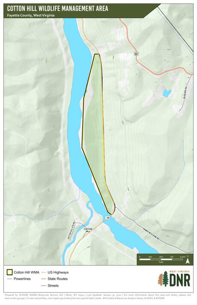 Cotton Hill Wildlife Management Area Preview 1