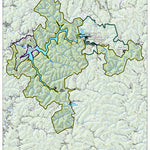 Beech Fork Lake Wildlife Management Area & State Park Preview 1