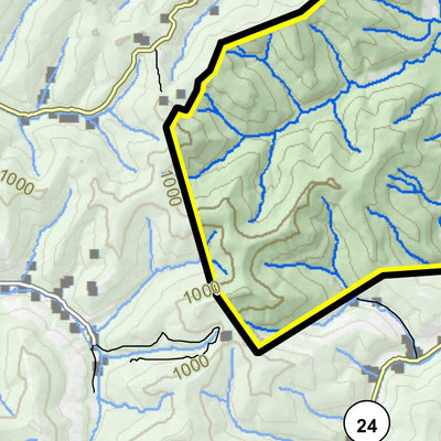 Beech Fork Lake Wildlife Management Area & State Park Preview 3