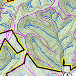 Ritchie Mines Wildlife Management Area Preview 3