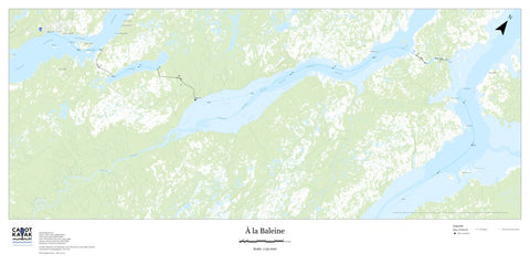 Baleine #6 Preview 1