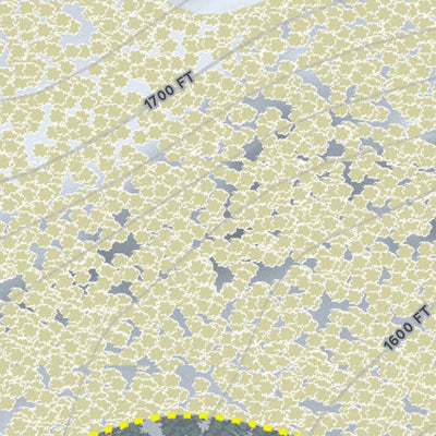 Jackson Creek Summit Resort Preview 3