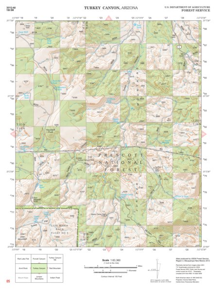 Prescott National Forest Quadrangle: TURKEY CANYON Preview 1