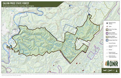 Calvin Price State Forest Preview 1