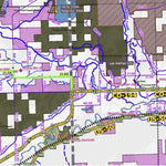 Public Lands, Roads & Trails Map for Colorado Preview 3