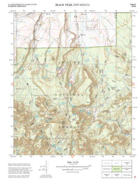 Gila National Forest Quadrangle Map: pg 10 Black Peak Preview 1