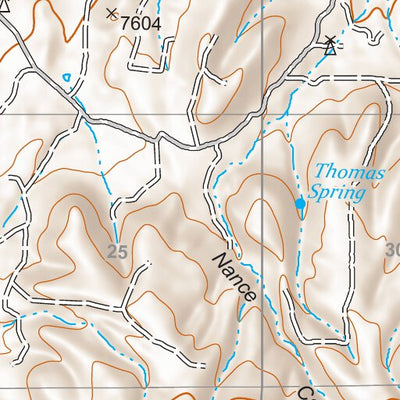 Gila National Forest Quadrangle Map: pg 15 Wallace Mesa Preview 3