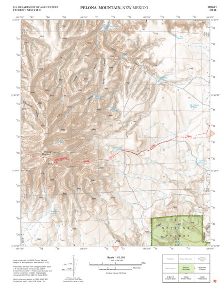 Gila National Forest Quadrangle Map: pg 38 Pelona Mountain Preview 1
