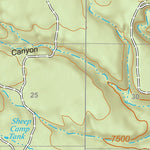 Gila National Forest Quadrangle Map: pg 36 Collins Park Preview 2