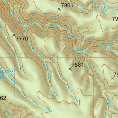 Gila National Forest Quadrangle Map: pg 87 Bonner Canyon Preview 3