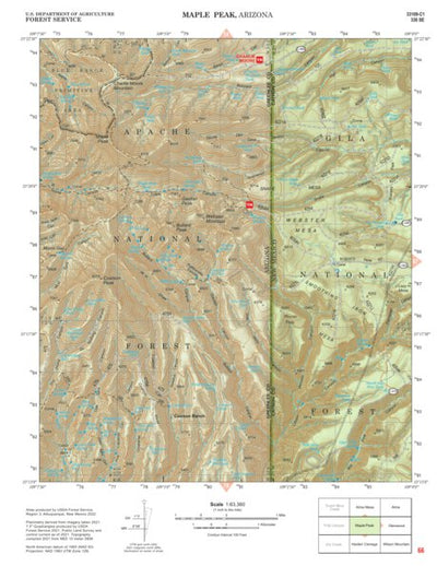 Gila National Forest Quadrangle Map: pg 66 Maple Peak Preview 1