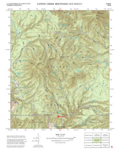 Gila National Forest Quadrangle Map: pg 60 Canyon Creek Mountains Preview 1