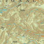 Gila National Forest Quadrangle Map: pg 71 Lilley Mountain Preview 2