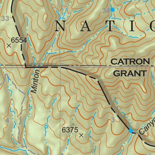 Gila National Forest Quadrangle Map: pg 81 Rice Ranch by US Forest ...