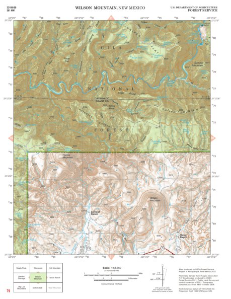 Gila National Forest Quadrangle Map: pg 79 Wilson Mountain Preview 1