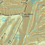 Gila National Forest Quadrangle Map: pg 98 Hay Mesa Preview 2