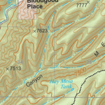 Gila National Forest Quadrangle Map: pg 98 Hay Mesa Preview 3
