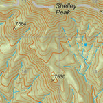 Gila National Forest Quadrangle Map: pg 82 Shelley Peak Preview 2