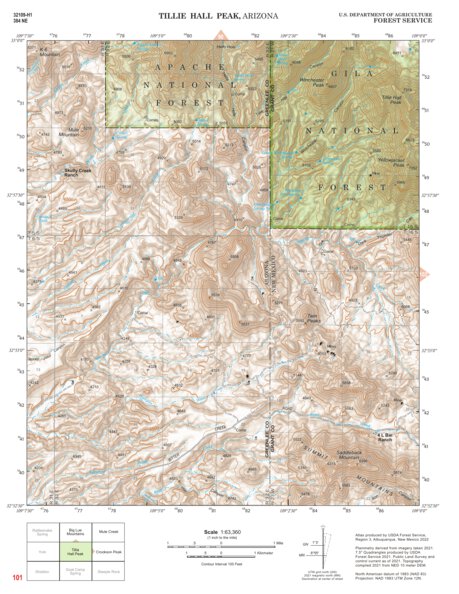 Gila National Forest Quadrangle Map: pg 101 Tillie Hall Peak Preview 1