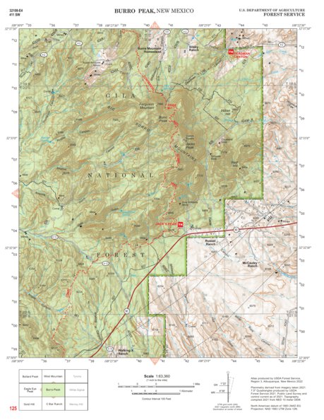 Gila National Forest Quadrangle Map: pg 125 Burro Peak Preview 1