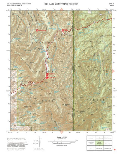 Gila National Forest Quadrangle Map: pg 90 Big Lue Mountains Preview 1