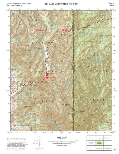 Gila National Forest Quadrangle Map: pg 90 Big Lue Mountains Preview 1