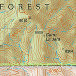 Santa Fe National Forest Quadrangle Map: pg 60 Bear Springs Peak Preview 3