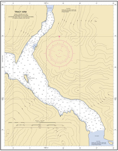 Tracy Arm Head Preview 1