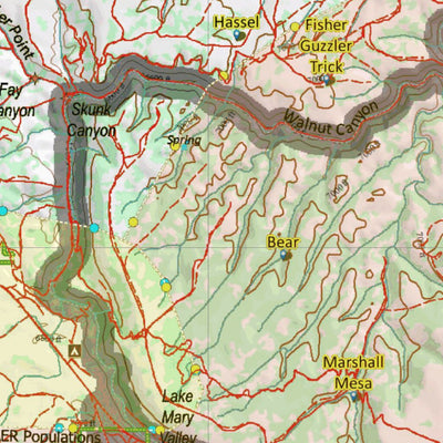 AZ Unit 5BN Mule Deer Concentrations Preview 3