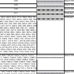 Nez Perce-Clearwater NF - Upper Palouse MVUM 2020 Preview 3