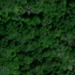 William (Bill) Anderson County Park Preview 3