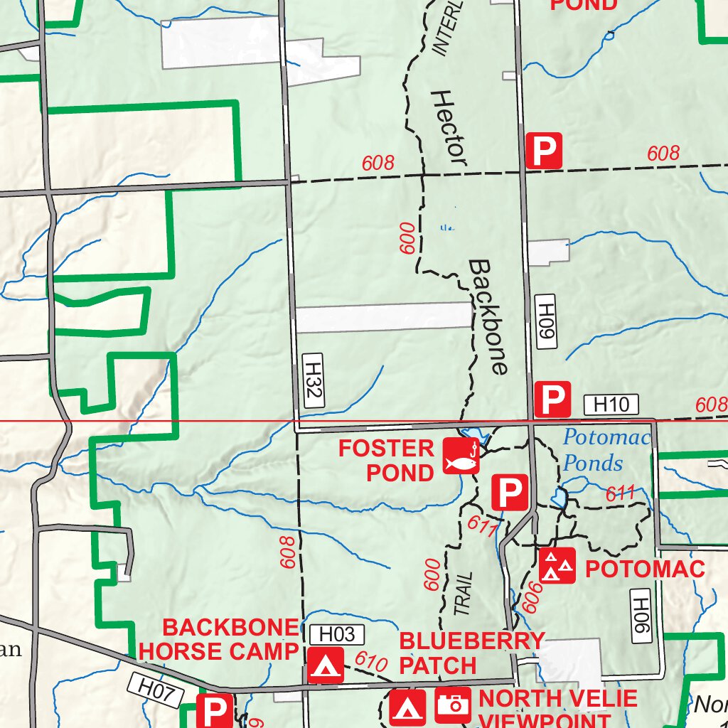 Green Mountain Finger Lakes NF Forest Visitor Map - Finger Lakes by US ...