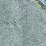 Dartmouth Skiway Resort Preview 3