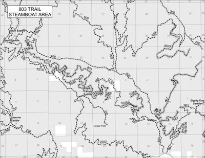 Idaho Panhandle NF - Coeur d'Alene River RD - 803 Trail MVUM 2020 - Preview 1