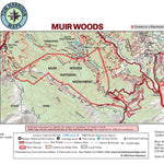 Muir Woods Preview 1