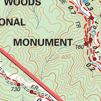 Muir Woods Preview 2