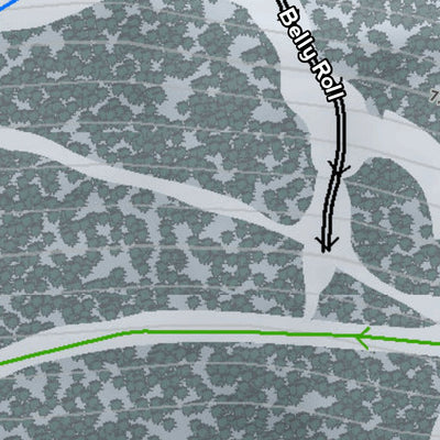 Snow King Resort Preview 2